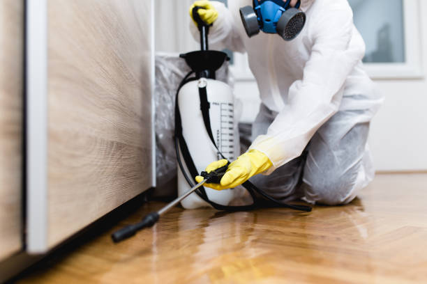 Reliable Topanga, CA Pest Control Solutions