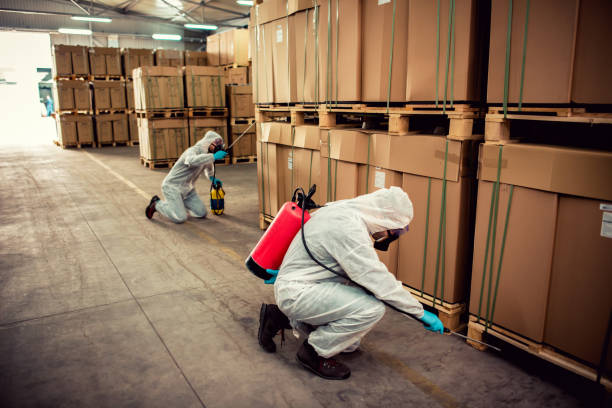 Best Pest Control Near Me in Topanga, CA