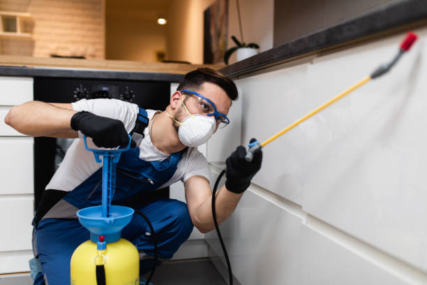 Best Best Pest Control Companies  in Topanga, CA