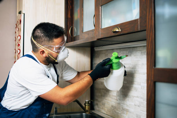 Best Commercial Pest Control Services  in Topanga, CA