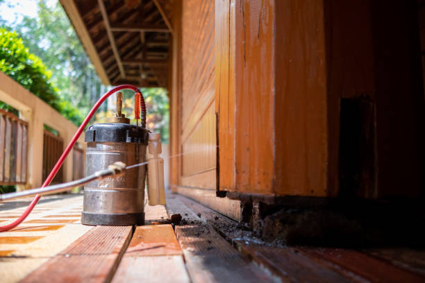 Best Emergency Pest Control  in Topanga, CA