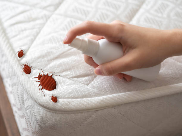 Best Residential Pest Control  in Topanga, CA