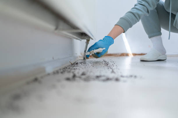 Best Wasp Removal Services  in Topanga, CA