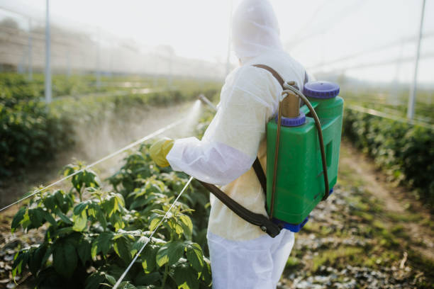 Best Pest Removal Services  in Topanga, CA